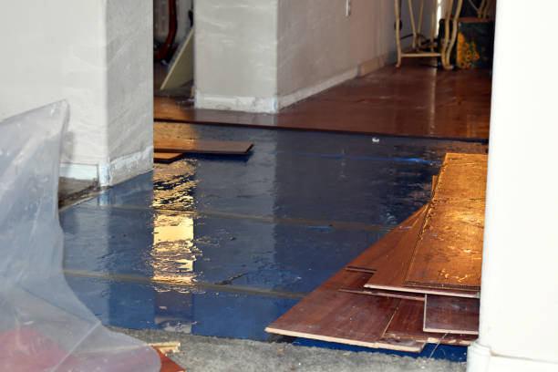 Professional Water Damage Restoration technician working in Kress, TX